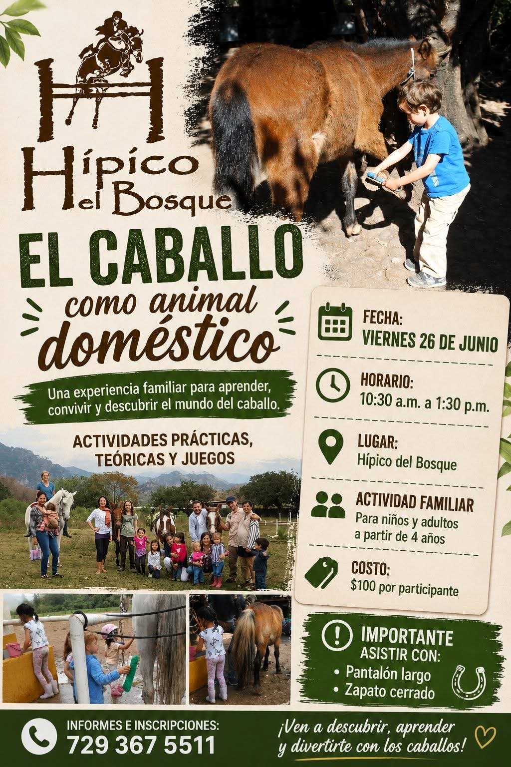 Experiencia familiar el caballo como animal doméstico