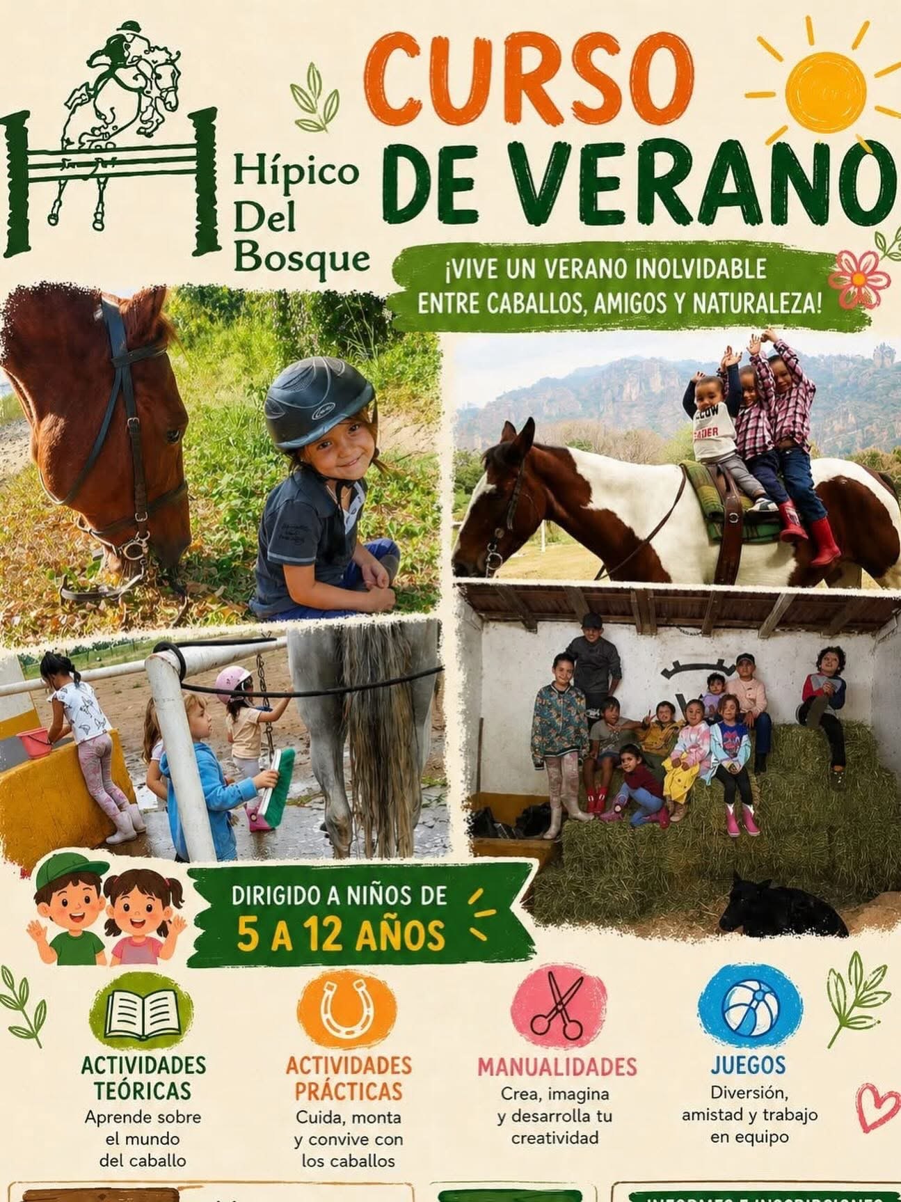 Curso de verano con caballos