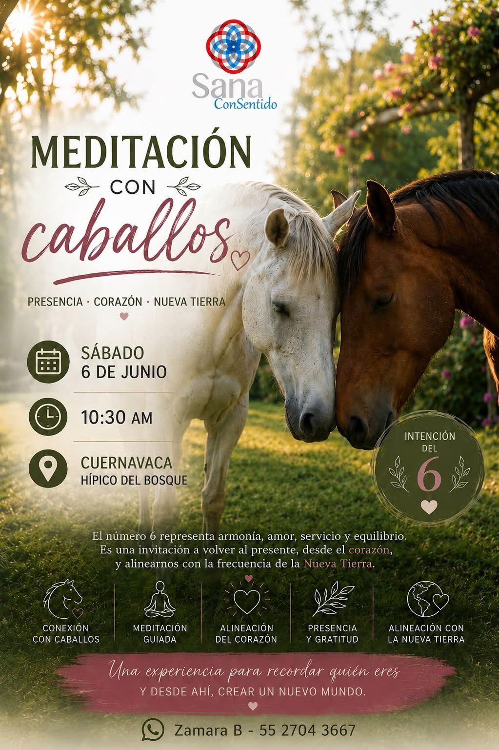Meditación con caballos